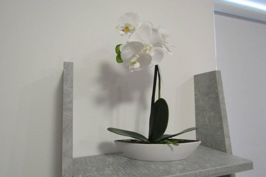 Apartman Megi & Studio Apartman Tomi - Self Check In Krapina Kültér fotó
